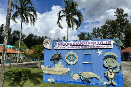 Sea Turtle Conservation Center in Khao Lak