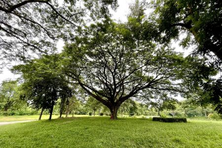 Kaeng Loeng Chan Health Park