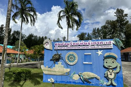 Sea Turtle Conservation Center in Khao Lak