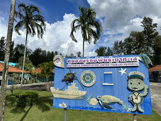Sea Turtle Conservation Center in Khao Lak