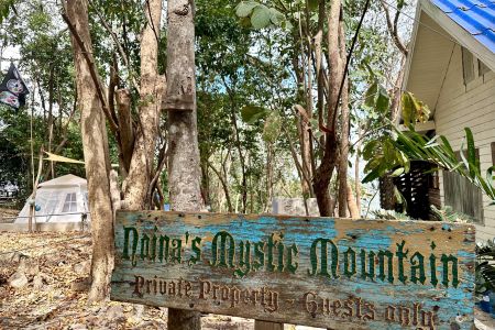 Noina's Kitchen - Vegan & Continental Food